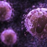 Study Unveils New Immune Cell Precursor Leads to Improved HIV Vaccine
