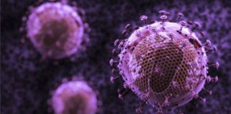Study Unveils New Immune Cell Precursor Leads to Improved HIV Vaccine