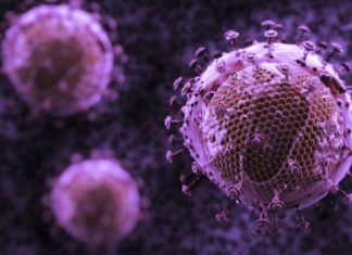 Study Unveils New Immune Cell Precursor Leads to Improved HIV Vaccine