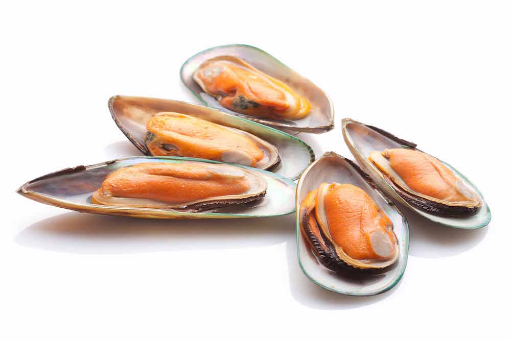 Scientists Develop New , Self-Healing Material Inspired By Mussels