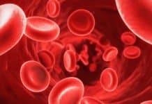 Ablynx’s Dangerous Blood Disorder Treatment Shows Promise In Phase III Hercules Study