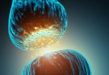 Study Exonerates “Gatekeeper” Neurotransmitters In Pain Transmission Study Exonerates “Gatekeeper” Neurotransmitters In Pain Transmission