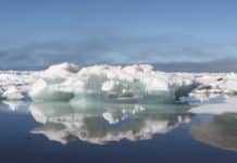 NASA-Recruited Narwhals to Help Document Melting Arctic Ice NASA-Recruited Narwhals to Help Document Melting Arctic Ice