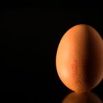 New Mutants to The Rescue! Genetically Engineered Chickens in Japan Are Laying Eggs That Could Fight Cancer