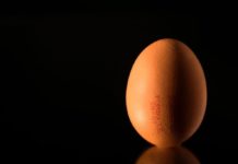 New Mutants to The Rescue! Genetically Engineered Chickens in Japan Are Laying Eggs That Could Fight Cancer New Mutants to The Rescue! Genetically Engineered Chickens in Japan Are Laying Eggs That Could Fight Cancer