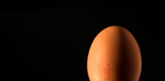 New Mutants to The Rescue! Genetically Engineered Chickens in Japan Are Laying Eggs That Could Fight Cancer