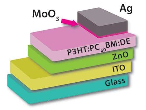 How Fossilized Diatoms Could Help Improve the Efficiency of Organic Solar Cells