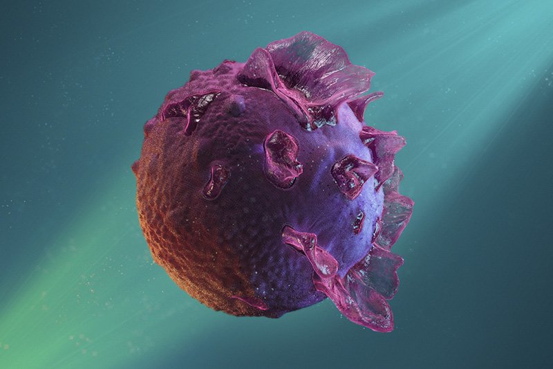 New Insight into EBV Mechanism Could Boost Vaccine Development