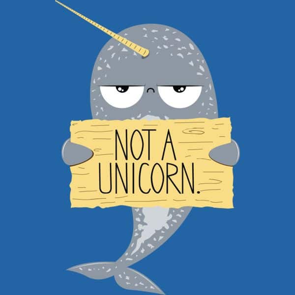 NASA-Recruited Narwhals to Help Document Melting Arctic Ice