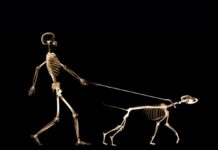 New Tissue Regeneration Method Inspired By Nature New Tissue Regeneration Method Inspired By Nature