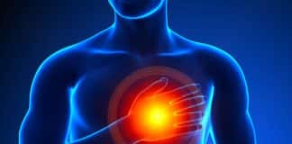 Inhibition Of Hippo Pathway Found To Reverse Heart Failure