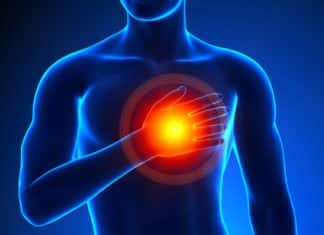 Inhibition Of Hippo Pathway Found To Reverse Heart Failure