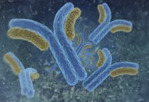 Amgen, CytomX Enter Strategic Alliance To Dig Deeper Into I-O