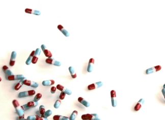 BGI & University of Manchester to Collaborate on Synthetic Biology Project