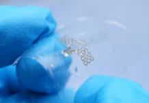 A Biodegradable, Edible Microsensor For Food Monitoring A Biodegradable, Edible Microsensor For Food Monitoring