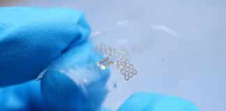 A Biodegradable, Edible Microsensor For Food Monitoring