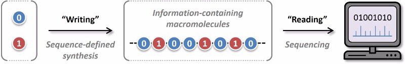 Scientists Have Now Built a Molecular Computer Using Polymers 