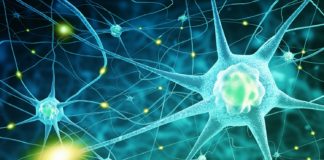 biological science job