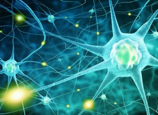 biological science job