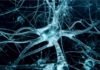 Neuroscientists Develop Novel Tool for Precise Gene Editing in Neurons Neuroscientists Develop Novel Tool for Precise Gene Editing in Neurons