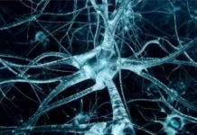 Neuroscientists Develop Novel Tool for Precise Gene Editing in Neurons Neuroscientists Develop Novel Tool for Precise Gene Editing in Neurons