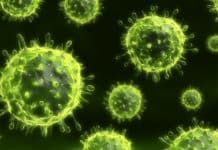 “Magnetic Tweezers” Help Identify Mode of New Anti-Viral Drug Action “Magnetic Tweezers” Help Identify Mode of New Anti-Viral Drug Action