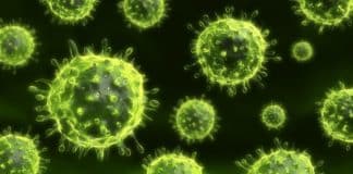 “Magnetic Tweezers” Help Identify Mode of New Anti-Viral Drug Action