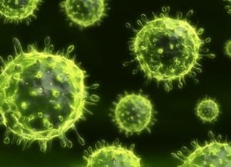 “Magnetic Tweezers” Help Identify Mode of New Anti-Viral Drug Action