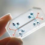 Organs-On-Chip Startup Signs On Roche, Takeda