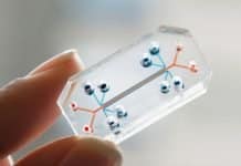 FDA to Collaborate with Oxford Spin-Out to Deploy Organs-on-Chip for Drug Safety Prediction Organs-On-Chip Startup Signs On Roche, Takeda