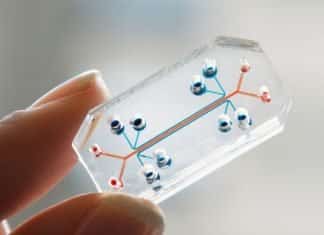 Organs-On-Chip Startup Signs On Roche, Takeda