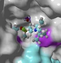 Tandon Researcher Developing Potential Antidotes to Neutralize Chemical Weapons