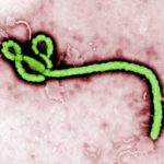 Researcher Awarded $6M For Trivalent Ebola Vaccine That Also Targets Two Additional Viruses Researcher Awarded $6M For Trivalent Ebola Vaccine