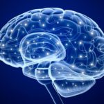 Scientists Validate a Biomarker Indicative of Glioblastoma Progression, Drug Response Scientists Validate a Biomarker Indicative of Glioblastoma Progression