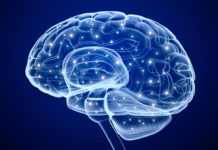 Scientists Validate a Biomarker Indicative of Glioblastoma Progression, Drug Response Scientists Validate a Biomarker Indicative of Glioblastoma Progression