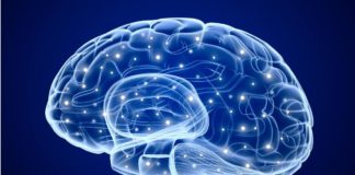 Scientists Validate a Biomarker Indicative of Glioblastoma Progression