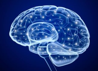Scientists Validate a Biomarker Indicative of Glioblastoma Progression