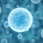 New Insight into EBV Mechanism Could Boost Vaccine Development