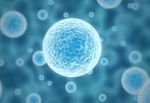 New Insight into EBV Mechanism Could Boost Vaccine Development