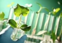 JRF Job @ JIPMER | MSc & M.Tech Candidates Eligible for DHR Research Project JRF Job @ JIPMER