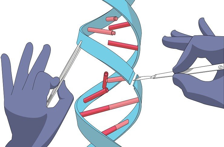 Evolved, More Powerful CRISPR Editing Systems Unveiled