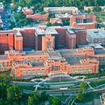 NIH Investigates Two New Targets for Anti-Malaria Drugs