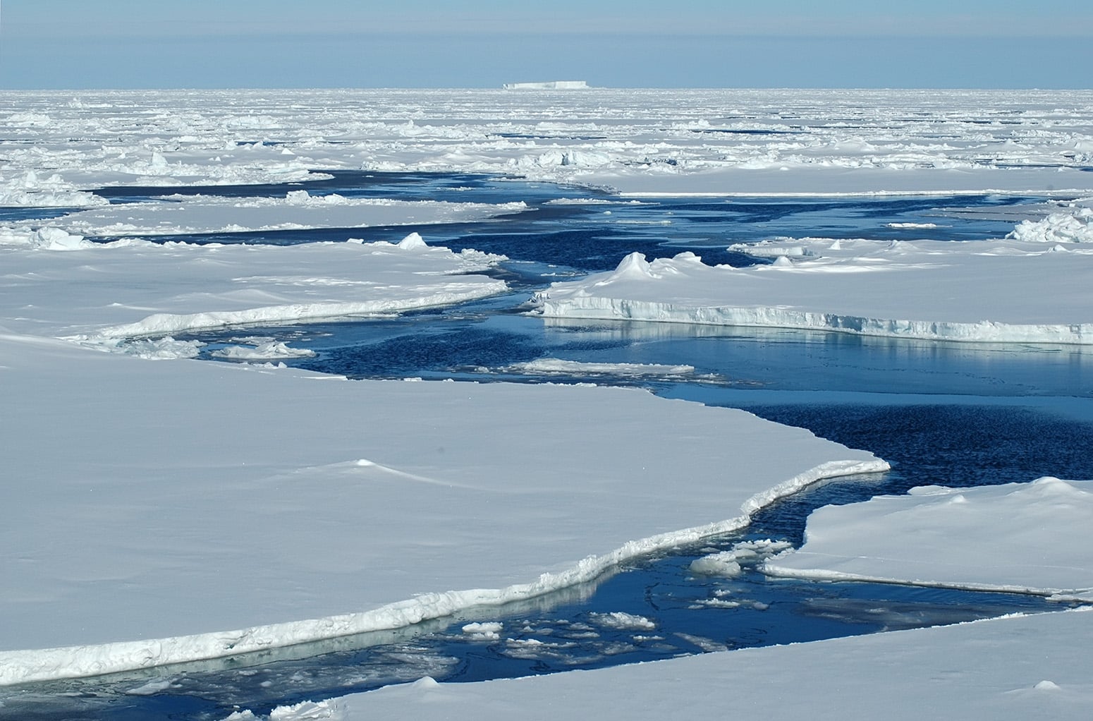 NASA-Recruited Narwhals to Help Document Melting Arctic Ice