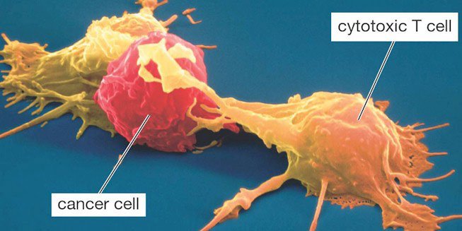 Turning on the Gene “Circuit” Switch to Combat Cancer