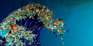 Novel Technique to Rid Us of all the Invisible Plastic in Our Oceans