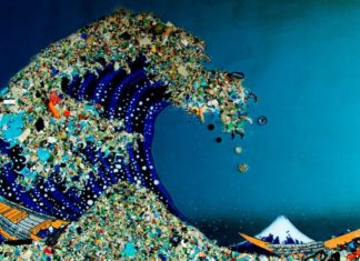 Novel Technique to Rid Us of all the Invisible Plastic in Our Oceans