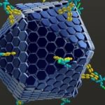 Repurposed Antivirals Effective Against Multiple Viruses