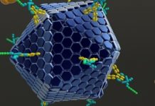 Repurposed Antivirals Effective Against Multiple Viruses Repurposed Antivirals Effective Against Multiple Viruses