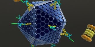 Repurposed Antivirals Effective Against Multiple Viruses