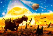 Meteorite Metal that obliterated Dinosaurs Could Help Us Send Cancer the Same Way too Meteorite Metal that obliterated Dinosaurs Could Help Us Send Cancer